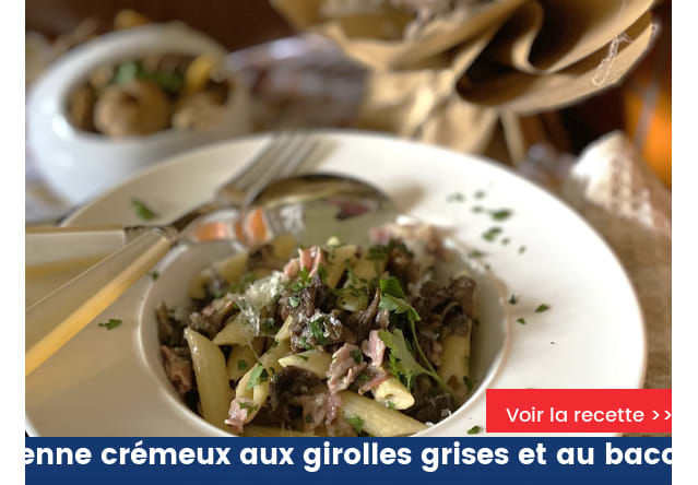 Penne crémeux aux girolles grises et au bacon